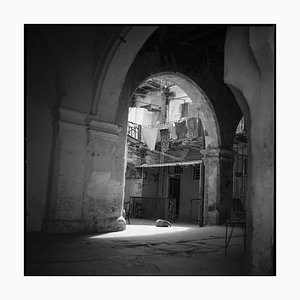 Paul Cooklin, Chien Endormi, Photographie