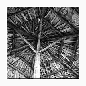 Paul Cooklin, Parasol, Photograph