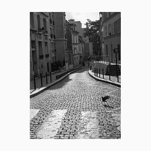 Paul Cooklin, Pigeon Crossing, Photograph
