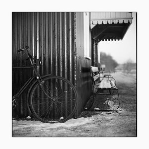 Paul Cooklin, Vintage Bicycle, Photograph