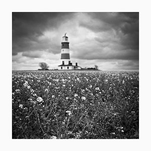 Paul Cooklin, Happisburgh Lighthouse III, Photograph