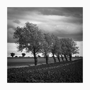 Paul Cooklin, Walsham Le Willows, Photograph