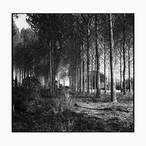 Paul Cooklin, Wickham Skeith, Photograph
