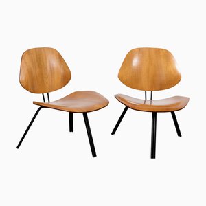 Lounge Chair P31 from Osvaldo Borsani, 1950s