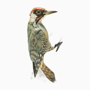 Pájaro carpintero vintage de cerámica pintado a mano de Bepi Tay, Italia, años 80