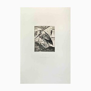 Félix Bracquemond, Les Cigognes, Etching, 1870s