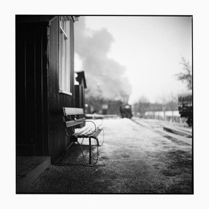 Paul Cooklin, Bench, Photograph