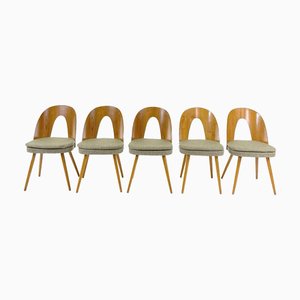 Silla de comedor vintage de Antonín Šuman para Tatra, 1968