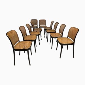 Sedie modello 811 di Josef Hoffmann per Drevounia Manufacture, anni '70, set di 10