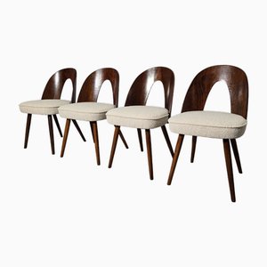 Esszimmerstühle von Antonin Suman, 1960er, 4 . Set