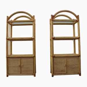 Italian Display Bookcases from Vivai del Sud, 1970s, Set of 2