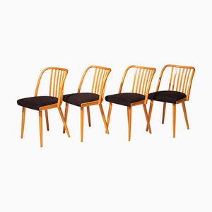 Chaises en Bois par Antonín Šuman, 1960s, Set de 4