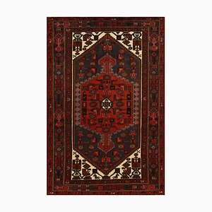 Hand-Knotted Middle Eastern Rug