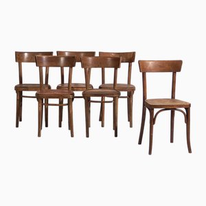 Vintage Stühle von Thonet, 1950er, 6er Set