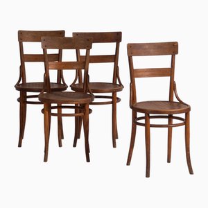 Stühle von Thonet, 1920er, 4er Set
