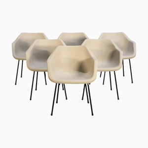 Armlehnstühle, die Robin Day zugeschrieben werden für Hille, die Robin & Lucienne Day zugeschrieben werden, 6er Set