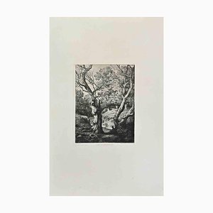 Pontus Cinier, Foret De Fontainebleau, Etching, 1870s