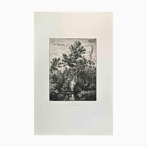 Leo Drouyn, Paysage, Etching, 1870s