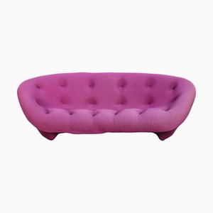 High Back Magenta Ploum Sofa attributed to Ronan & Erwan Bouroullec for Ligne Roset
