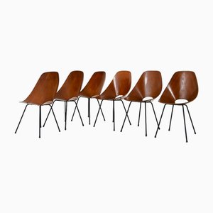 Dining Chairs by Vittorio Nobili for Frattelli Tagliabue, 1950s, Set of 6