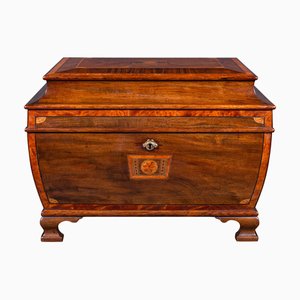 Boîte Mélangeur à Thé Regency pour Salon, Angleterre, 1820s
