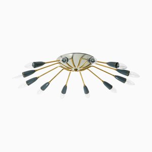 Large Mid-Century Modern 12-ArmedBrass Sputnik Ceiling Lamp, 1950s
