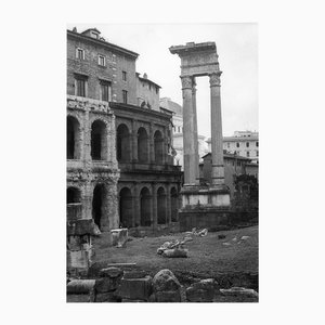 Paul Cooklin, Théâtre des Colonnes de Marcellus, Photographie