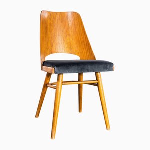 Vintage Dining Chair by Radomir Hoffman, 1950s