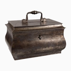 Mid-19th Century Scrigno Trunk, Northern Europe