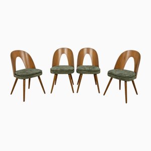 Sillas de comedor de Antonín Šuman para Tatra, años 60. Juego de 4