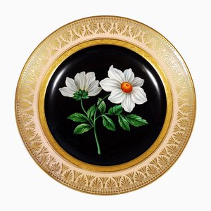 Antique Viennese Botanical Splendour Plate, 1824