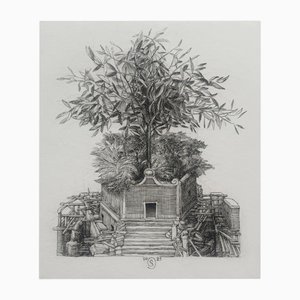 Krzysztof Skórczewski, Olea Europea, Kupferstich auf Papier, 2021