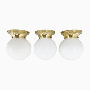 Mid-Century Brass and Milk Glass Ceiling Ligts, 1970s, Set of 3