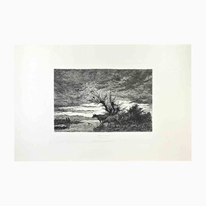 Armand Charnay, Bords du Sornin, Etching, 1860s