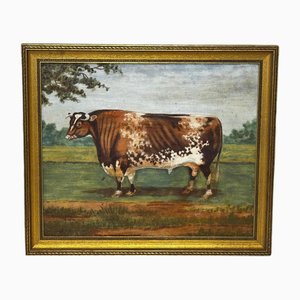 Artista vittoriano, Pregiato Shorthorn Bull in Field, Dipinto ad olio, Incorniciato