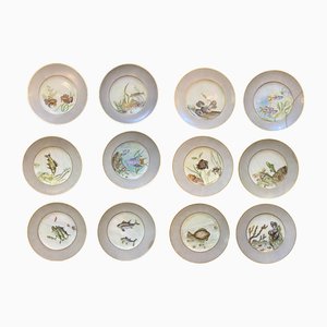 Mid-Century Hand-Painted Dishes from Bing & Grondahl, 1951, Set of 12