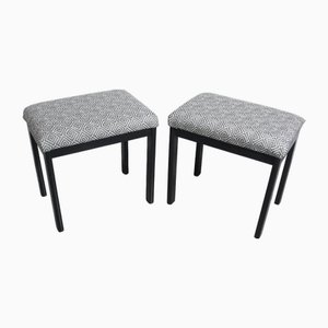 Set of Mid-Century Modern Stools with Folding Lid as Step Stool, 1950s