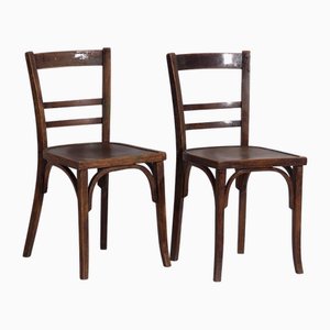 Juego de sillas vintage de madera curvada de Thonet, años 50
