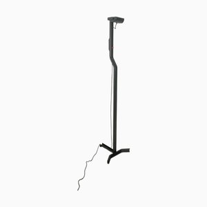 Sirio Floor Lamp by Kazuhide Takahama for Sirrah, 1970s