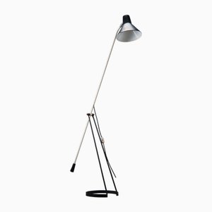 Tivoli Floor Lamp by Floris Fiedeldij for Artimeta, 1950s