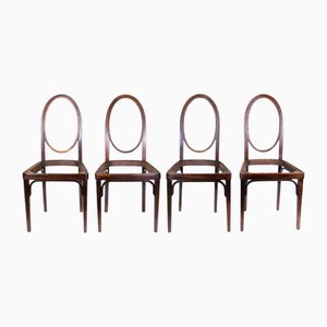 Sedie di Gustav Siegel per Thonet, 1906, set di 4