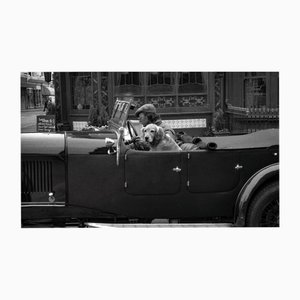 Ian Sanderson, Sammy, 1984, Archival Pigment Print