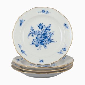 Antique German Porcelain Plates with Blue Flowers and Insects from Meissen, Set of 4