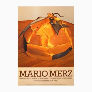 After Mario Merz, Dal Miele Alle Ceneri, Print