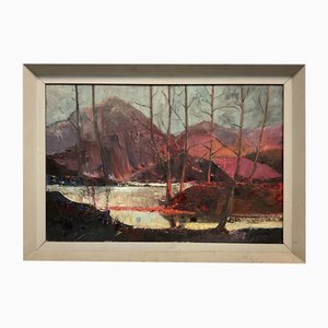 Hedley Williams Waycott, montañas en llamas con la luz del sol poniente, pintura al óleo, 1900, enmarcado