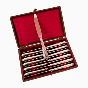 Coltelli da dessert con custodia di Ercuis Pompadour, Francia, set di 12