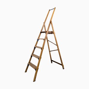 Library Stepladder in Wood