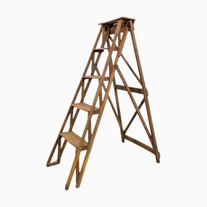 Escalera de madera para biblioteca