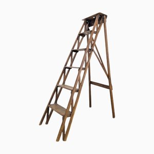 Library Stepladder in Wood