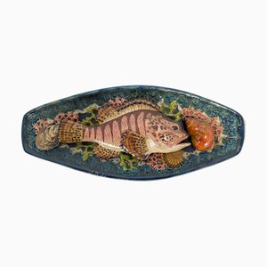 Rascasse Plate in Portuguese Majolica